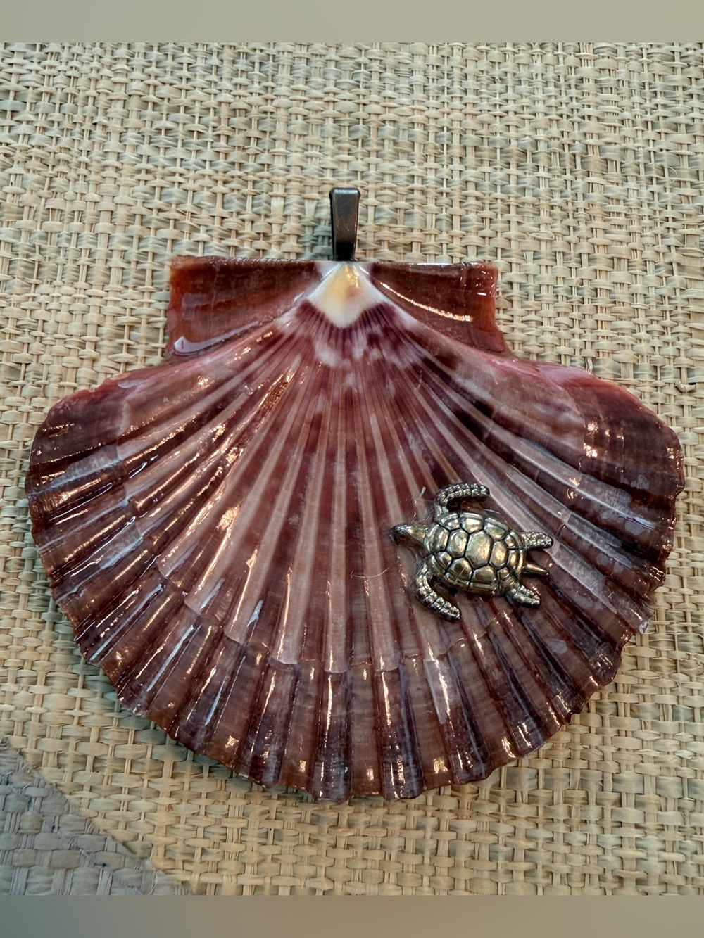 Unbranded Scalloped Sea Shell  Pendant With Small Gold Tone Turtle